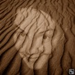 Schönheit der Wüstenei / Desert beauty